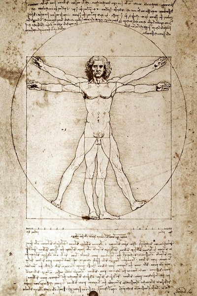 Vitruvius İnsan Oranları Eskizi Canvas Tablo