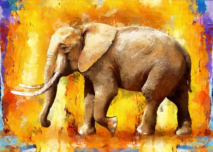 Afrika Fili Sanat