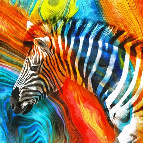 Yağlı Boya Çok Renkli Zebra Figürü Canvas Tablo